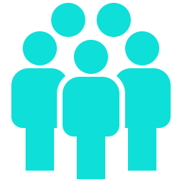 Executive and Team Coaching